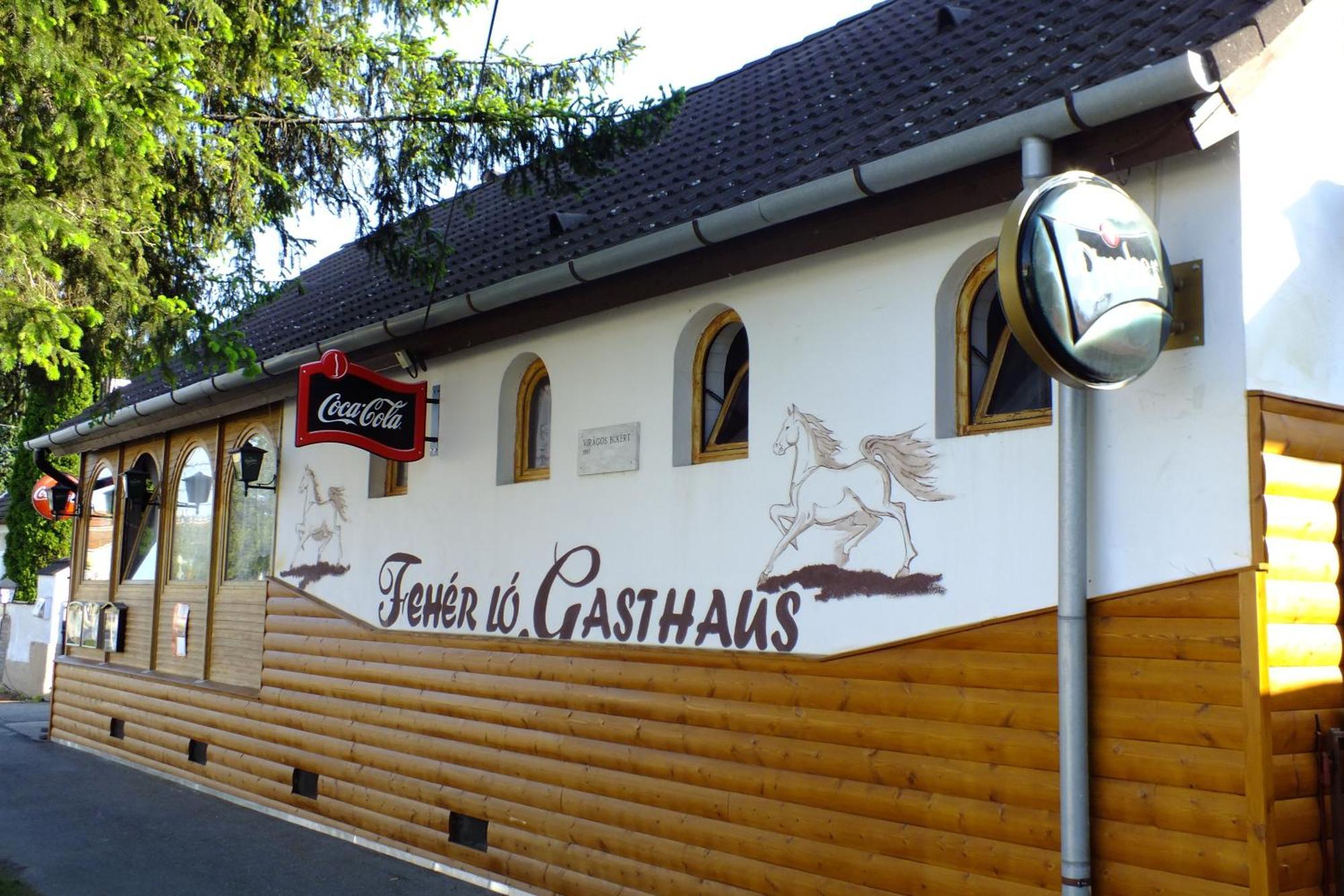 Feherlo Vendeghaz & Restaurant Bük Exteriör bild